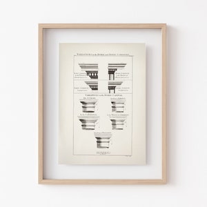 May include: A black and white illustration of variations in the Doric and Ionic cornices and capitals. The image includes text labels for each variation, including "Doric Cornice in the Theatre of Marcellus" and "Ionic Cornice in the Theatre of Marcellus".