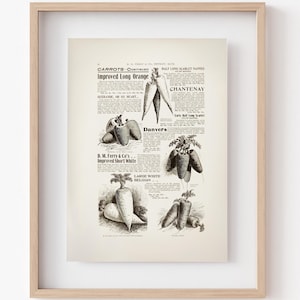 Vintage Carrot Seed Guide Art Print: Rustic Farmhouse Decor (Instant Download)