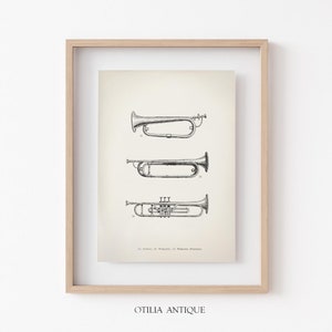 Könnte beinhalten: Eine Schwarzweiß-Vintage-Illustration von drei verschiedenen Arten von Trompeten. Die Illustration ist in einem hellen Holzrahmen gerahmt.
