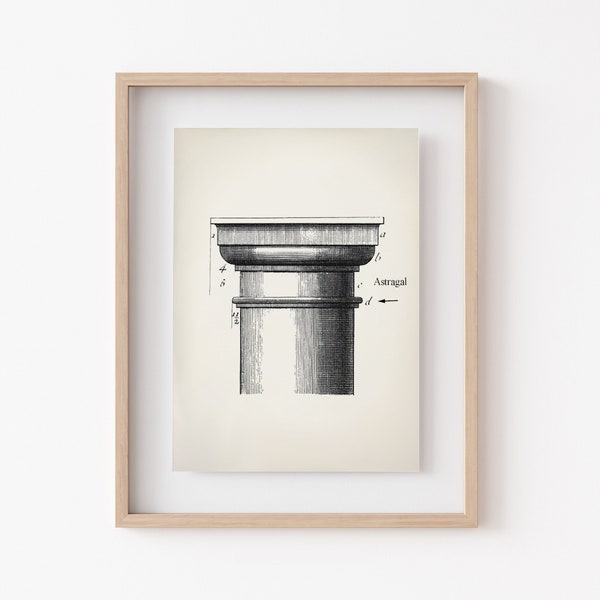 Architectural Element Poster, Ionic Order Molding Art Print, Architectural Technical Drawing, Gift For Architect, Ancient Columns Blueprint