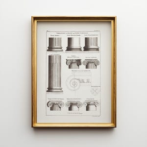 Op de afbeelding: Een ingelijste architecturale print getiteld Variations in Bases and Ionic Capitals, met zwart-witte technische illustraties van klassieke kolomvoeten, kapitelen en voluutdiagrammen, gevat in een dunne, metallic gouden lijst.