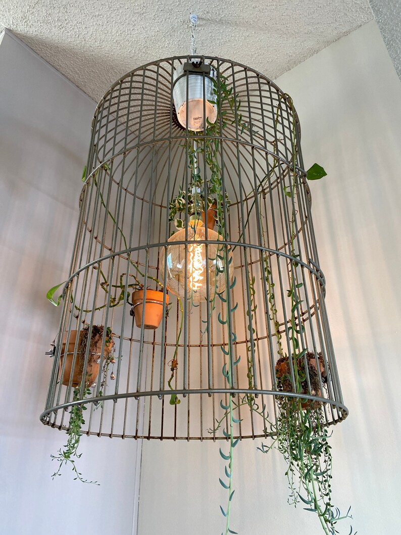 Picture Idea: Birdcage Pendant Light
