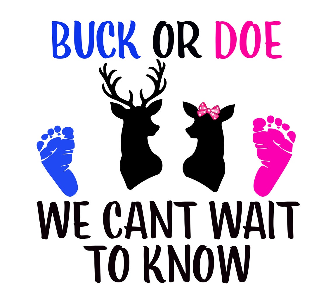 Buck or Doe Gender Reveal Png Etsy