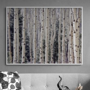 Birch Forest Photography Print, Framed Aspen Trees Print, Birch Tree Wall Art, Nature Wall Decor,Forest Photography Wall Art,Framed Wall Art