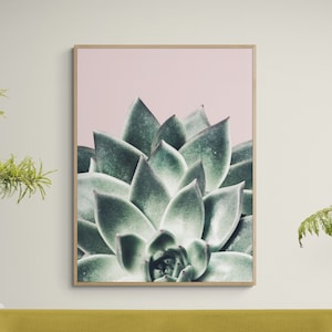 Succulent Photography Print, Framed Succulent Wall Art, Nature Photography Print, Succulent Art Decor, Framed Wall Art, Oversized Wall Art