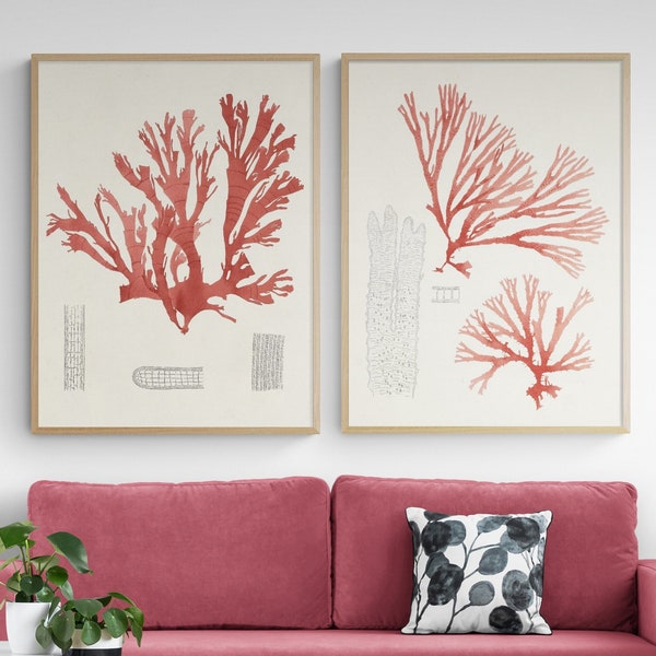 Set of 2 Red Coral Beach Decor Wall Art, Framed Coral Reef Wall Art Prints, Sea Coral Wall Decor, Framed Wall Art, Oversized Wall Art