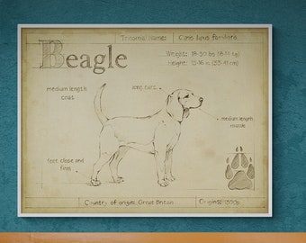 Funny Beagle Art, Beagle Mom Gift Idea, Dog Breed Poster, Antique Beagle Print, Vet Waiting Room Decor, Animal Shelter Poster