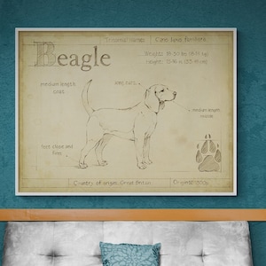 Antique Beagle ASH by Ethan Harper, Beagle Mom Decor, Good Doggo Vet Offce Wall Art, Dog Groomer Wall Decor Idea Poster Print image 1