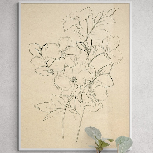 Framed Flower Drawing Print Floral Sketch Wall Art Botanical Etsy