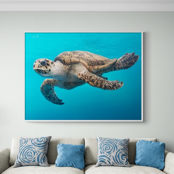 Sea Turtle Photography Print, Framed Hawaiian Turtle Wall Art, Tropical Decor Print,Sea Photography Print,Turtle Lover Photo,Framed Wall Art