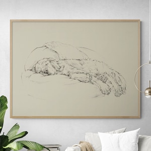 Golden Sketch I by Ethan Harper, Puppy Themed Bedroom Illustration Print, Cute Dog Sketch Wall Art, Pet Sket Decor Idea