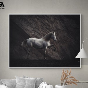 Solitaire by Heike Willers, Black and White Horse Art, Framed White Horse Photography Print, Equestrian Wall Decor, Cowboy Wall Art