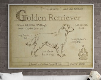 Golden Retriever Poster Print, Framed Dog Wall Decor, Vintage Poster Print, Large Doggo Wall Decor, Vintage Pet Print, Framed Wall Art