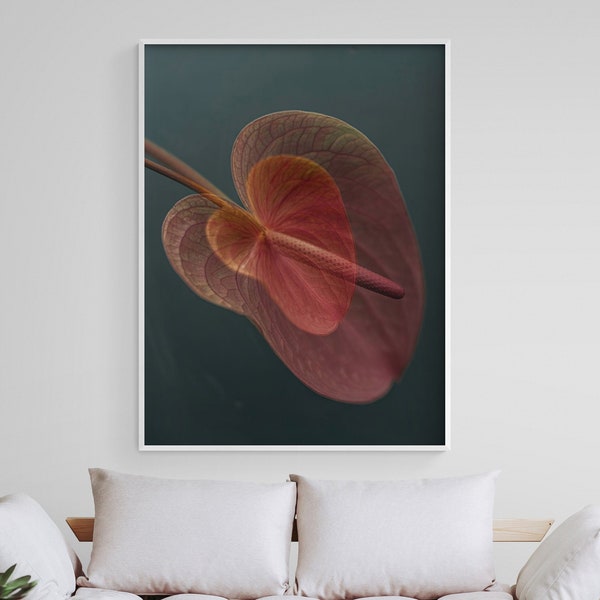 Painter's-palette Flower Poster Print, Laceleaf Wall Art, Flamingo Flower Gift Idea, Tailflower Plant Lady Home Office Decor Print