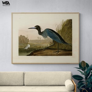 Impresión de pintura de grulla azul, póster vintage enmarcado de pájaro, arte de garza azul, impresión de póster de garza, arte mural natural, arte mural enmarcado