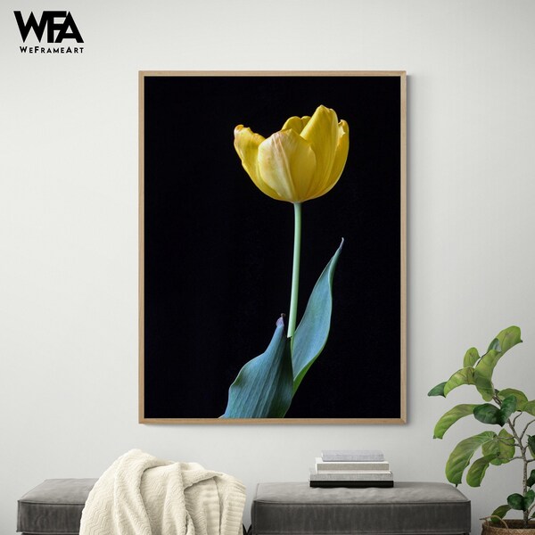 Tulip Wall Art Etsy