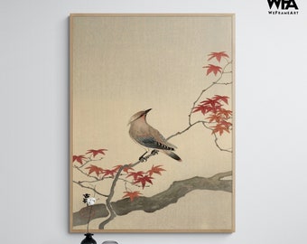 Japanese Waxwing on Maple by Ohara Koson, Maple Tree Poster Print, Asian Bird Traditional Artwork Decor, Maple Tree Forest Decor