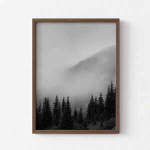 Smokey Mountains Print, Black and White Forest Photography, Framed Wall Art image 3