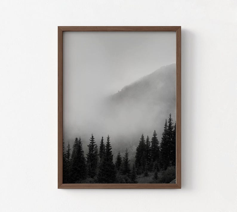 Smokey Mountains Print, Black and White Forest Photography, Framed Wall Art image 3