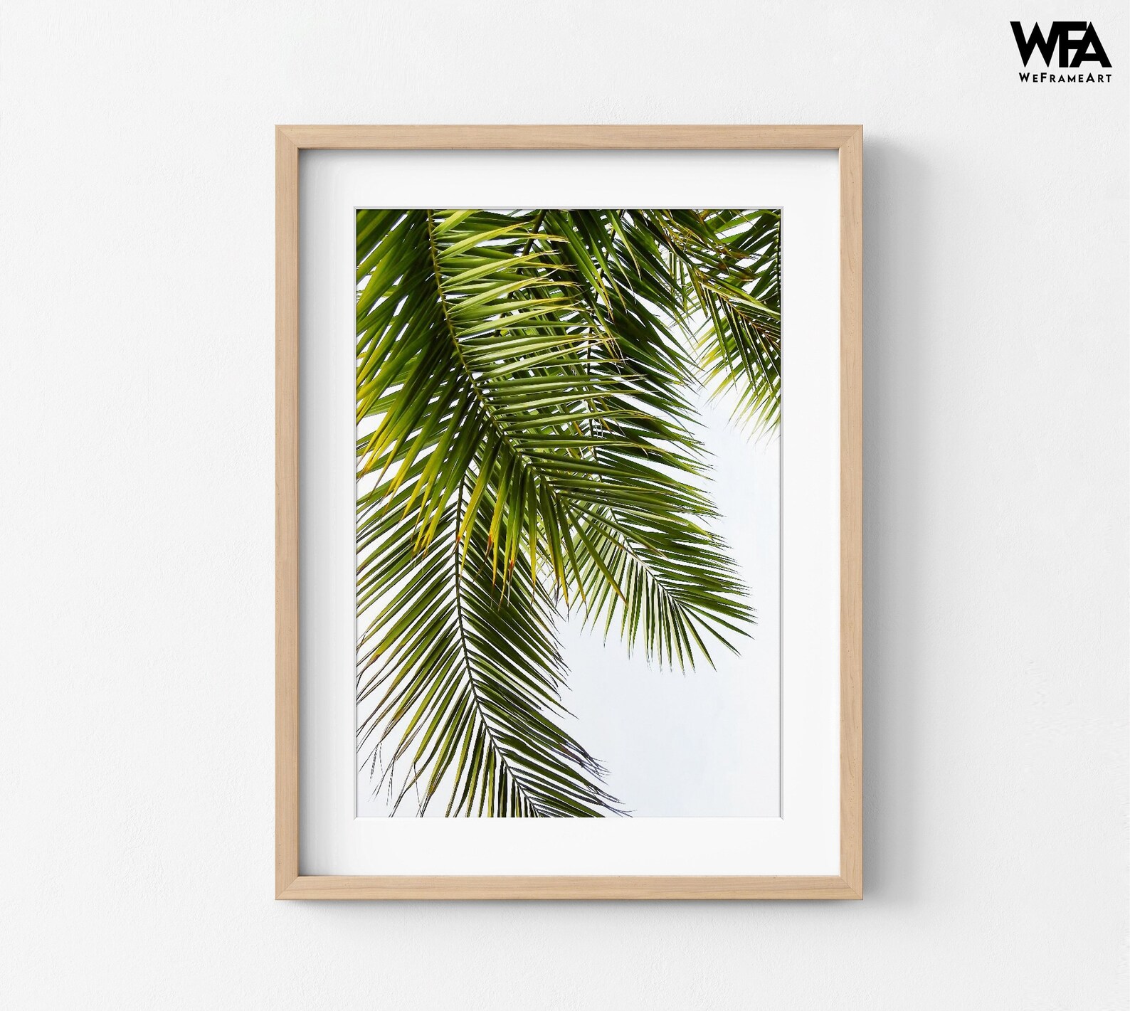 Palm Leaves Photography Print Framed Tropical Plants Photo Etsy