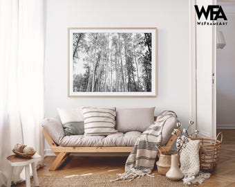 Black and White Aspen Tree Photo, Colorado Forest Art Print