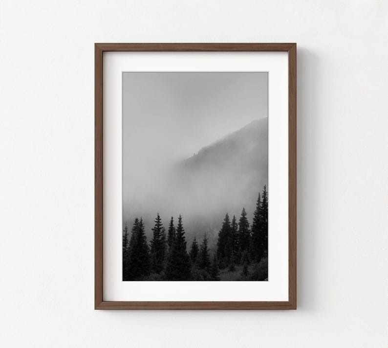 Smokey Mountains Print, Black and White Forest Photography, Framed Wall Art image 4