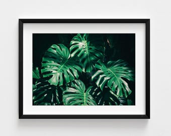 Monstera Leaf Photo Print, Botanical Wall Art Decor