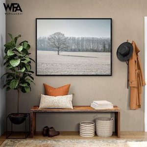Framed Landscape Photography Wall Art, Tree Wall Art, Forest Wall Art, Nature Photography Print, Botanical Wall Art, Framed Wall Art