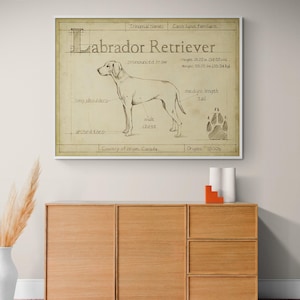 Labrador Retriever Poster Print, Framed Doggo Wall Art, Large Doggo Wall Decor, Vintage Pet Print, Retro Pet Poster, Framed Wall Art