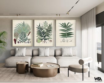 Botanical Fern Prints Set, Rustic Living Room Decor, Plant Art
