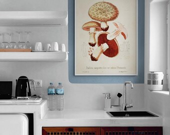 Vintage Mushroom Varieties Art Print, Framed Nature Wall Decor