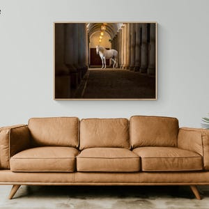 In The Barn by Merrie Asimow, Horse Themed Office, White Horse Picture Print, Western Style New Bar Decor, Cowboy Bar Art Print