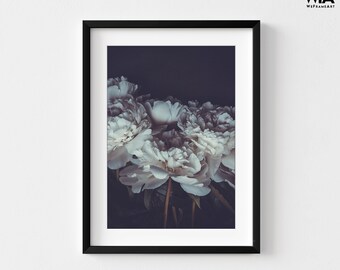 Romantic by PhotoINC Studio, White Peonies Photo, First Anniversary Gift Idea, Flower Shop Artwork, Botanical Picture Artwork