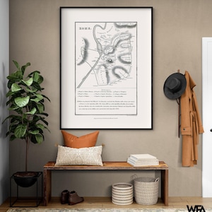 Rome Italy - Oxford 1828, Extra Large Vintage Rome Wall Map, Rome Map Print, Antique Map Of Rome, Italian City Map Poster Print