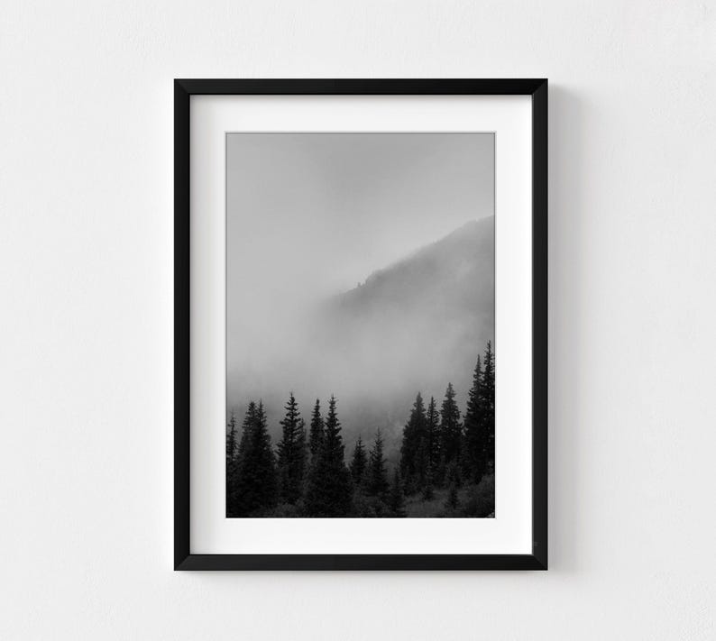 Smokey Mountains Print, Black and White Forest Photography, Framed Wall Art image 2