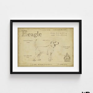 Antique Beagle ASH by Ethan Harper, Beagle Mom Decor, Good Doggo Vet Offce Wall Art, Dog Groomer Wall Decor Idea Poster Print image 5