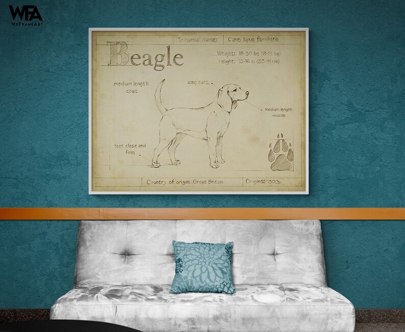 Antique Beagle ASH by Ethan Harper, Beagle Mom Decor, Good Doggo Vet Offce Wall Art, Dog Groomer Wall Decor Idea Poster Print image 1