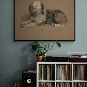Old English Sheepdog Print, Antique Dog Poster Wall Art