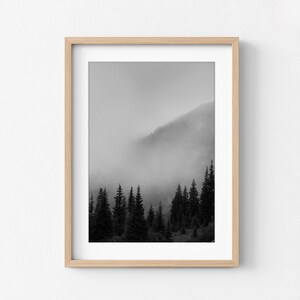 Smokey Mountains Print, Black and White Forest Photography, Framed Wall Art image 7