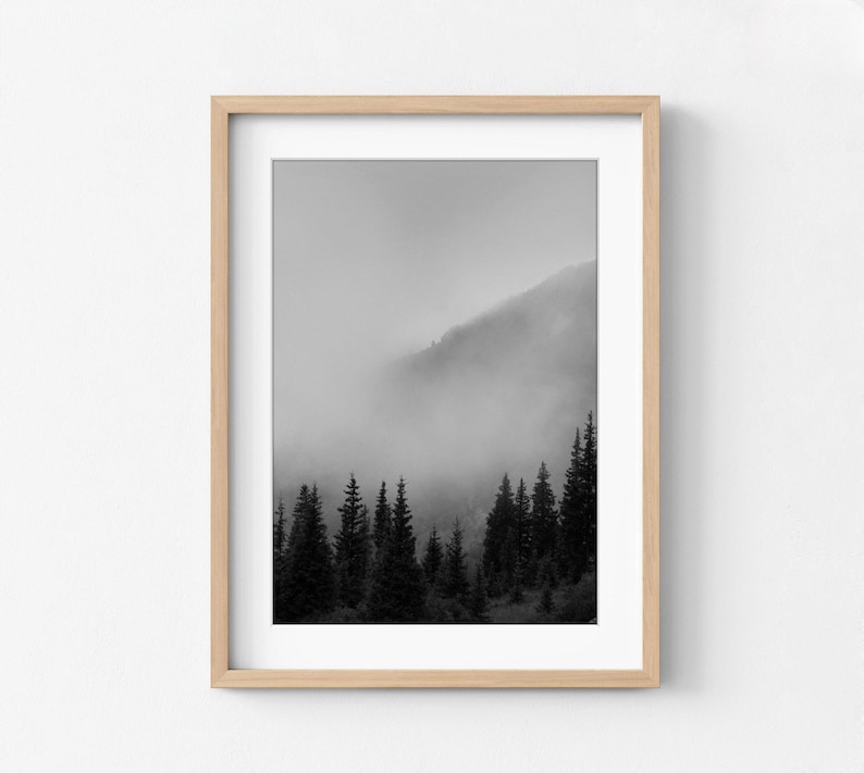 Smokey Mountains Print, Black and White Forest Photography, Framed Wall Art image 7