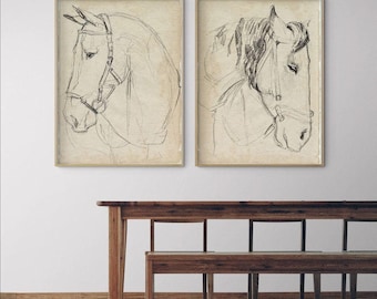Horse Sketch Art Prints, Equestrian Wall Decor (Set of 2)