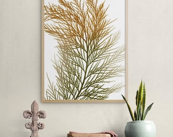 Framed Botanical Wall Art, Watercolor Paper Print, USA Handcrafted