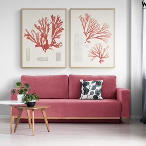 Set of 2 Red Coral Beach Decor Wall Art, Framed Coral Reef Wall Art Prints, Sea Coral Wall Decor, Framed Wall Art, Oversized Wall Art