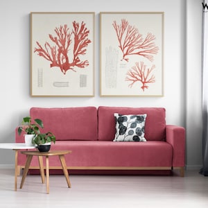 Framed Coral Reef Wall Art Prints, Set of 2, Beach Decor