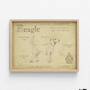 Antique Beagle ASH by Ethan Harper, Beagle Mom Decor, Good Doggo Vet Offce Wall Art, Dog Groomer Wall Decor Idea Poster Print image 7