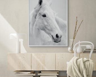 Framed White Horse Photography, Farmhouse Animal Wall Art