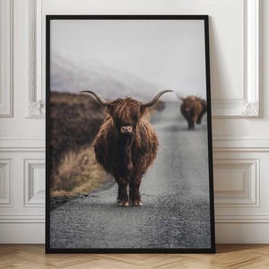Highland Cattle Wall Art - Cozy Farmhouse Country Road Scene