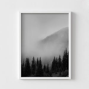 Smokey Mountains Print, Black and White Forest Photography, Framed Wall Art image 8