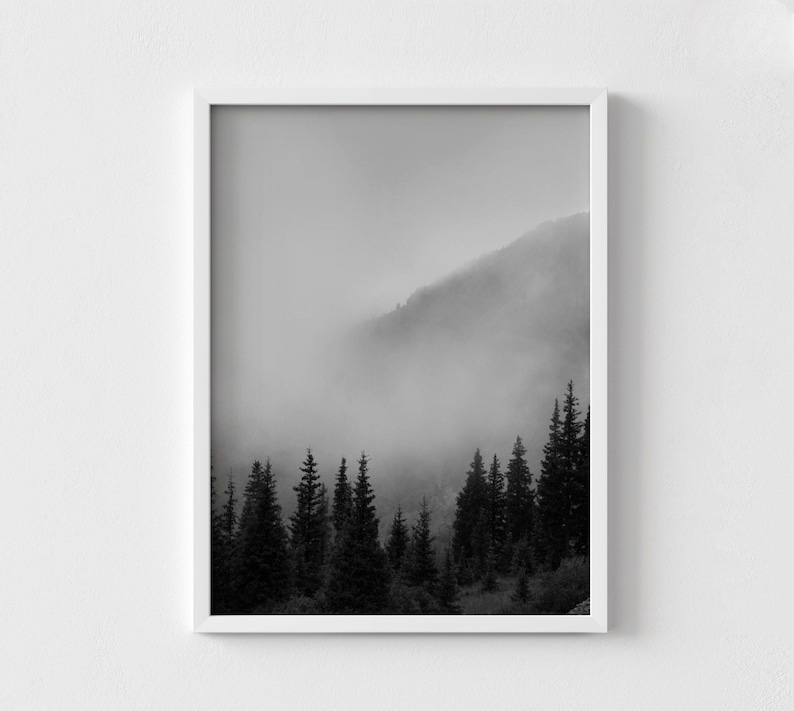 Smokey Mountains Print, Black and White Forest Photography, Framed Wall Art image 8