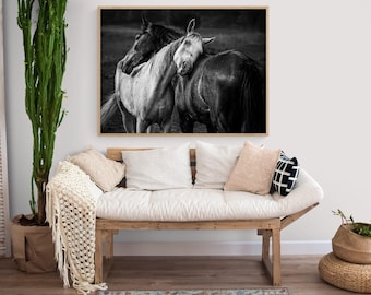 Black and White Horse Photography Print, Equestrian Wall Art